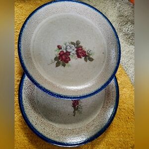 2 Monroe Salt Works salt glazed stoneware pottery Floral Design 11”dinner plate